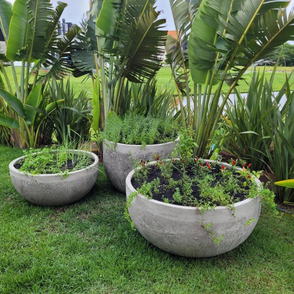 Garden das Flores em Nova Mutum (2)